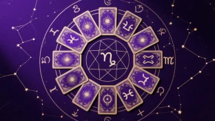 12 zodiac signs
